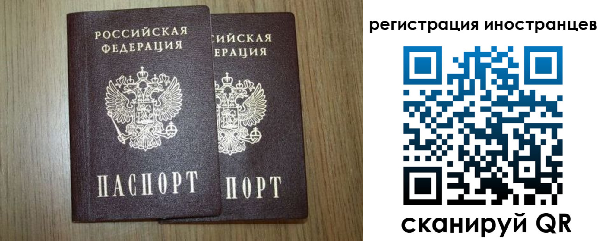 прописка для школы в Белой Холунице